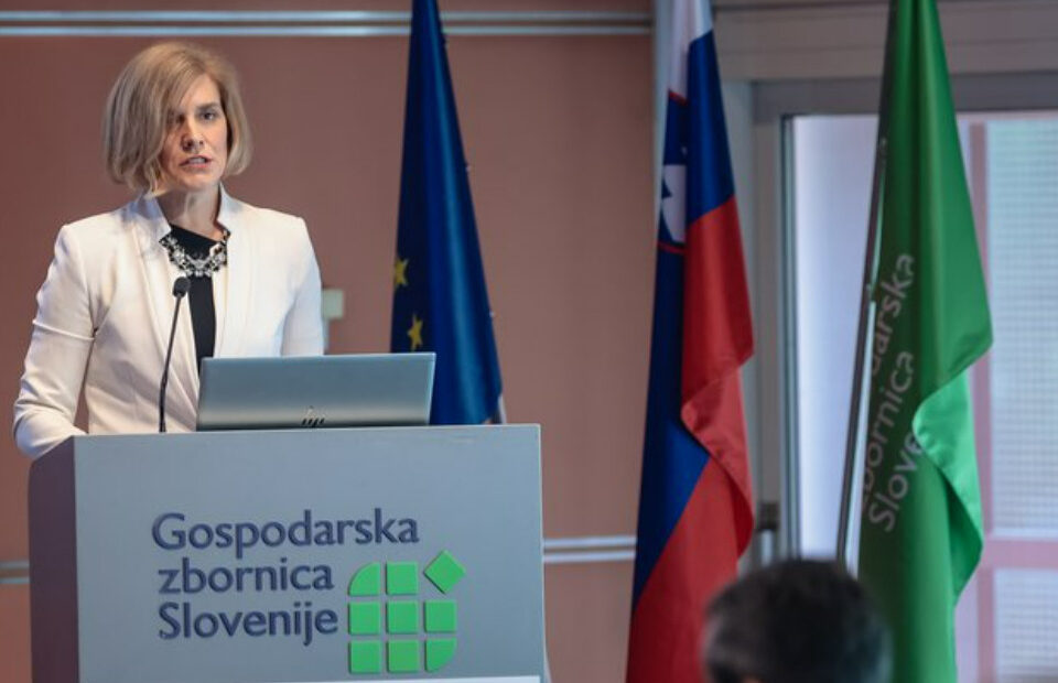 Kako Slovenijo postaviti v ESG okvire